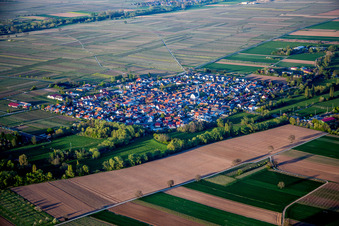 Vue aérienne de Champs agricoles et terres agricoles à Venningen dans le département Rhénanie-Palatinat, Allemagne