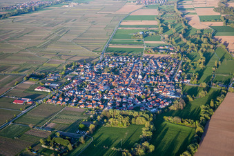 Vue aérienne de Champs agricoles et terres agricoles à Venningen dans le département Rhénanie-Palatinat, Allemagne
