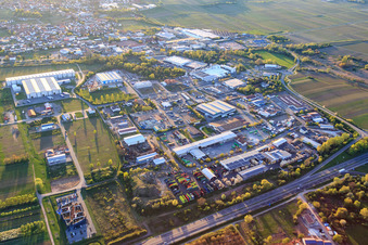 Vue aérienne de Zone industrielle Industriering avec ArcelorMittal SSC Deutschland GmbH, succursale Edenkoben et dreiso GmbH Dreißigacker & Sohn à Edenkoben dans le département Rhénanie-Palatinat, Allemagne