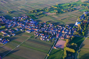 Vue aérienne de Marktstr à Kirrweiler dans le département Rhénanie-Palatinat, Allemagne