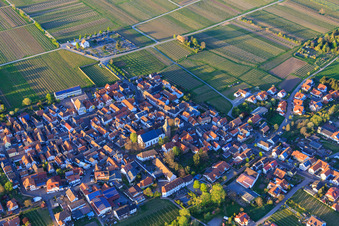 Vue aérienne de Exaltation de la Croix à Kirrweiler dans le département Rhénanie-Palatinat, Allemagne