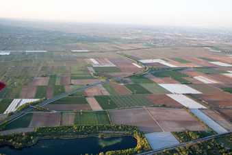 Vue aérienne de Mussbacher Baggerweiher à le quartier Mußbach in Neustadt an der Weinstraße dans le département Rhénanie-Palatinat, Allemagne