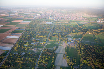 Vue aérienne de Haßloch dans le département Rhénanie-Palatinat, Allemagne