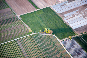Vue aérienne de UL à Meckenheim dans le département Rhénanie-Palatinat, Allemagne