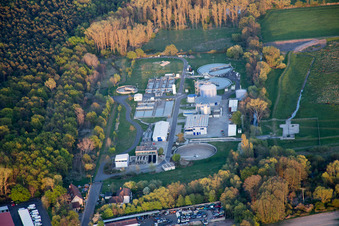 Vue aérienne de Bassins de traitement des eaux usées et étapes d'épuration pour le traitement des eaux usées dans le district de Lachen-Speyerdorf à le quartier Speyerdorf in Neustadt an der Weinstraße dans le département Rhénanie-Palatinat, Allemagne