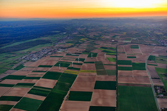 Vue aérienne de Parc éolien de Minfeld vu de l'est à Minfeld dans le département Rhénanie-Palatinat, Allemagne