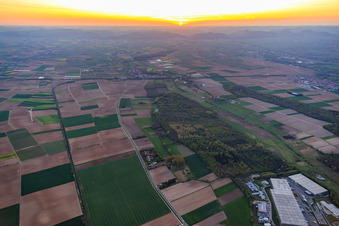 Vue aérienne de Quartier de Höfen vu de l'est à le quartier Minderslachen in Kandel dans le département Rhénanie-Palatinat, Allemagne