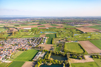Vue aérienne de Quartier Nordheim in Biblis dans le département Hesse, Allemagne