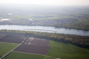 Vue aérienne de Quartier Rheindürkheim in Worms dans le département Rhénanie-Palatinat, Allemagne