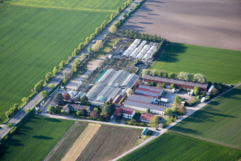 Vue aérienne de Pépinière Tils à le quartier Rheindürkheim in Worms dans le département Rhénanie-Palatinat, Allemagne