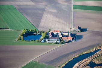 Vue aérienne de Mückenhäuser Hof à le quartier Rheindürkheim in Worms dans le département Rhénanie-Palatinat, Allemagne