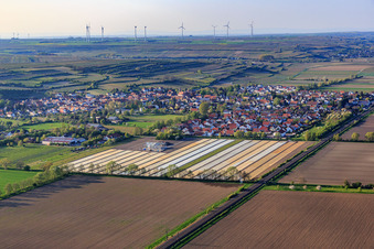 Vue aérienne de Vue du village depuis le sud à Mettenheim dans le département Rhénanie-Palatinat, Allemagne