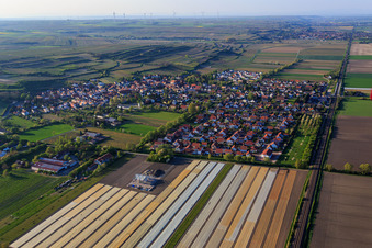Vue aérienne de Vue du village depuis le sud à Mettenheim dans le département Rhénanie-Palatinat, Allemagne