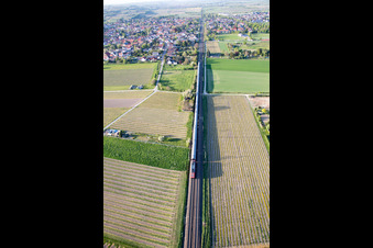 Vue aérienne de Train régional à Alsheim dans le département Rhénanie-Palatinat, Allemagne