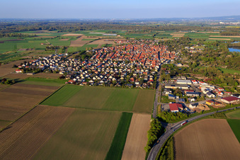 Vue aérienne de Vue de la ville depuis l'ouest à Gimbsheim dans le département Rhénanie-Palatinat, Allemagne