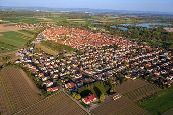 Vue aérienne de Vue du village depuis le nord-ouest à Gimbsheim dans le département Rhénanie-Palatinat, Allemagne