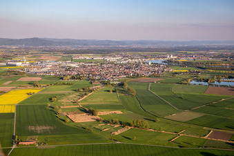 Vue aérienne de Vue de la ville à Biebesheim am Rhein dans le département Hesse, Allemagne