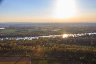 Vue aérienne de Cours du Rhin à Stockstadt am Rhein dans le département Hesse, Allemagne