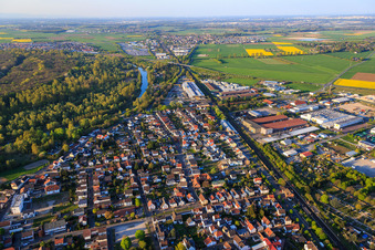 Vue aérienne de Rue du Rhin à Stockstadt am Rhein dans le département Hesse, Allemagne