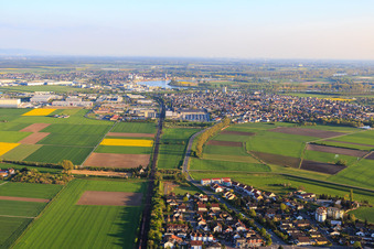 Vue aérienne de Vue de la ville depuis le nord à Biebesheim am Rhein dans le département Hesse, Allemagne