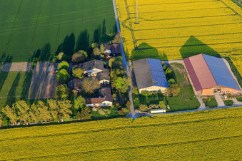 Vue aérienne de Ulmenhof à Stockstadt am Rhein dans le département Hesse, Allemagne