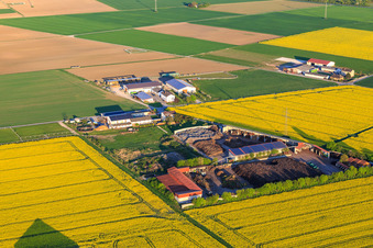 Vue aérienne de Usine de compostage Brunnenhof GmbH à Biebesheim am Rhein dans le département Hesse, Allemagne