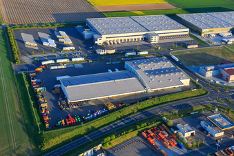 Vue aérienne de Zone industrielle Marie-Curie-Straße avec DSV, LOGI-K GmbH et succursale FRISTO SE Gernsheim à Gernsheim dans le département Hesse, Allemagne