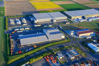 Vue aérienne de Zone industrielle Marie-Curie-Straße avec DSV, LOGI-K GmbH et succursale FRISTO SE Gernsheim à Gernsheim dans le département Hesse, Allemagne