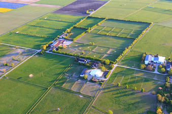 Vue aérienne de Haras de Karlshof et Haras de Marienhof à Gernsheim dans le département Hesse, Allemagne