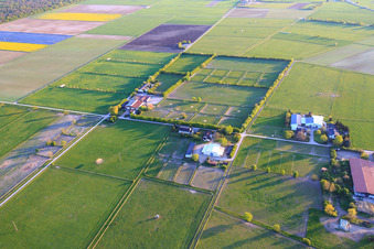 Vue aérienne de Haras de Karlshof et Haras de Marienhof à Gernsheim dans le département Hesse, Allemagne