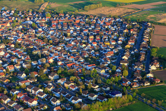 Vue aérienne de Rue Gernsheimer à le quartier Hähnlein in Alsbach-Hähnlein dans le département Hesse, Allemagne