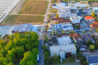 Zone industrielle de Sandwiesen avec Laetus à le quartier Sandwiese in Alsbach-Hähnlein dans le département Hesse, Allemagne vue du ciel