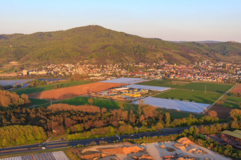 Vue aérienne de Vue du village au pied du Melibokus et de la ferme d'asperges et de fruits Wendel à Zwingenberg dans le département Hesse, Allemagne