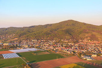 Photographie aérienne de Vue de la ville au pied du Melibokus à Zwingenberg dans le département Hesse, Allemagne