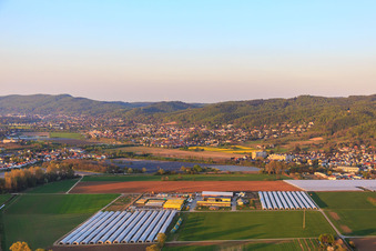 Vue aérienne de Ferme d'asperges et de fruits Wendel à Zwingenberg dans le département Hesse, Allemagne