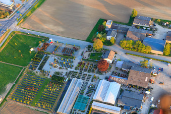 Vue aérienne de Fleurs de Lindenhof à le quartier Auerbach in Bensheim dans le département Hesse, Allemagne