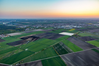 Vue aérienne de Du nord-est à Bürstadt dans le département Hesse, Allemagne