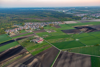 Vue oblique de Quartier Riedrode in Bürstadt dans le département Hesse, Allemagne