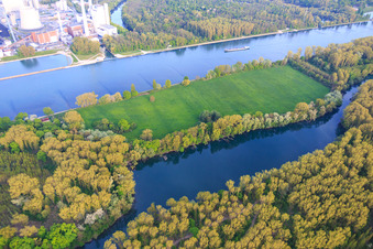 Vue aérienne de Réserve naturelle de l'île Goldgrund Nauaus entre le Rhin et Hagenbacher Altrhein à le quartier Maximiliansau in Wörth am Rhein dans le département Rhénanie-Palatinat, Allemagne