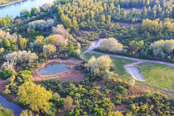 Vue aérienne de Réserve naturelle de Rheinauen Réserve biologique gérée de Lauterbourg à Lauterbourg dans le département Bas Rhin, France