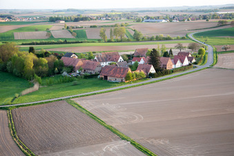 Photographie aérienne de Frohnackerhof à Schleithal dans le département Bas Rhin, France
