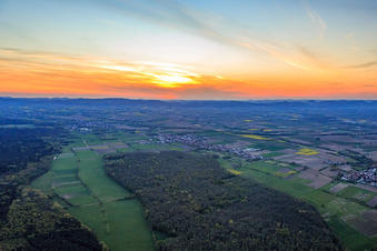 Vue aérienne de Viestrich au bord du Bienwald depuis l'est à Freckenfeld dans le département Rhénanie-Palatinat, Allemagne