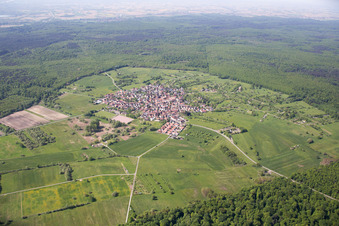 Vue aérienne de Quartier Büchelberg in Wörth am Rhein dans le département Rhénanie-Palatinat, Allemagne