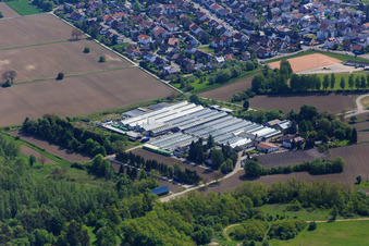 Vue aérienne de Géraniums Endisch à Hagenbach dans le département Rhénanie-Palatinat, Allemagne