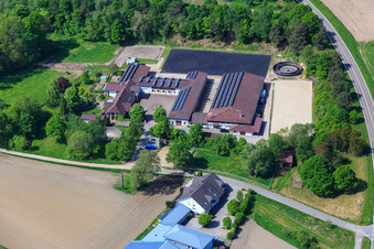Photographie aérienne de Pension pour chevaux à Hagenbach dans le département Rhénanie-Palatinat, Allemagne