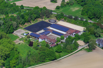 Pension pour chevaux à Hagenbach dans le département Rhénanie-Palatinat, Allemagne hors des airs