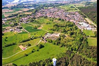 Vue aérienne de Bienwald-Baumschule GbR sous le château d'eau à Berg dans le département Rhénanie-Palatinat, Allemagne