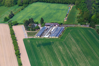Vue aérienne de Spargehof Am Waldeck à le quartier Neulauterburg in Berg dans le département Rhénanie-Palatinat, Allemagne