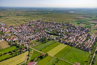 Vue aérienne de Vignobles et champs à Niederkirchen bei Deidesheim dans le département Rhénanie-Palatinat, Allemagne