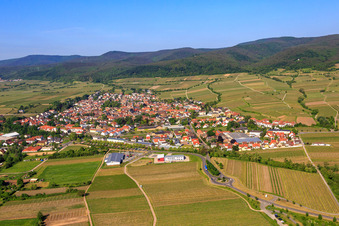 Vue aérienne de Vue de la ville depuis l'est à Deidesheim dans le département Rhénanie-Palatinat, Allemagne